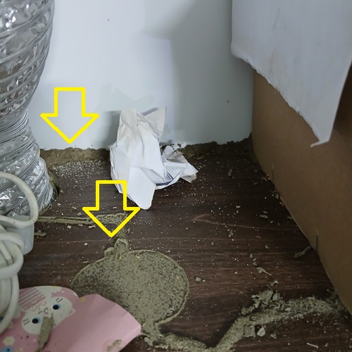 Diệt Mối Tủ Bếp