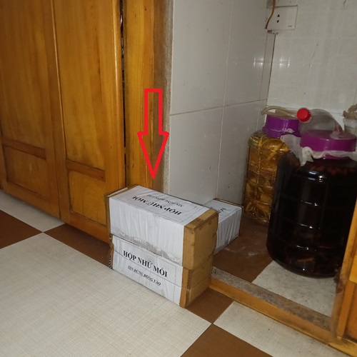 Phương pháp diệt mối lây truyền được áp dụng tại Thanh Trì