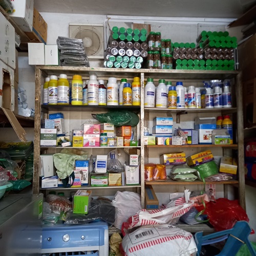 Cửa Hàng Bán Thuốc Diệt Mối Tại Quận Hoàn Kiếm