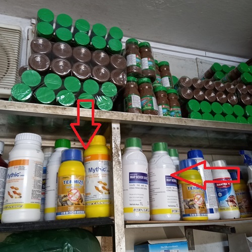Cửa hàng bán thuốc diệt mối tận gốc chính hãng
