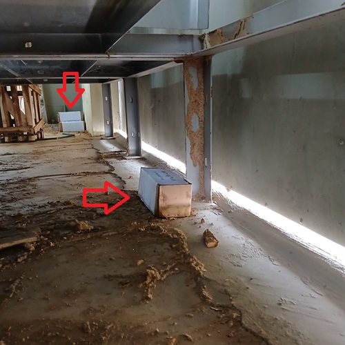 Diệt Mối Và Phòng Mối Cho Công Trình Bị Chìm Do Ngập Lụt