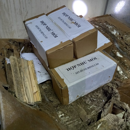 Đặt hộp nhử mối khu lưu trữ tài liệu quý