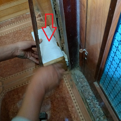 Dịch Vụ Diệt Mối Tận Gốc Tại Thành Phố Đồng Hới 