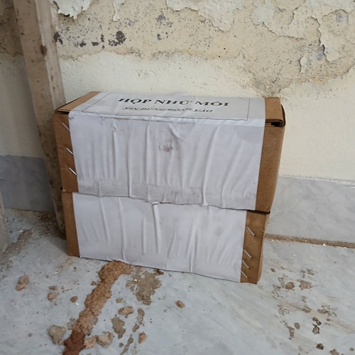Đặt hộp nhử mối vào vị trí mối đắp đường mui đất
