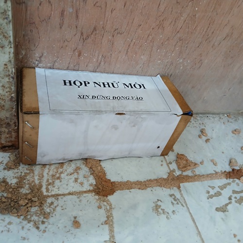 Đặt hộp nhử mối vào vị trí có mối